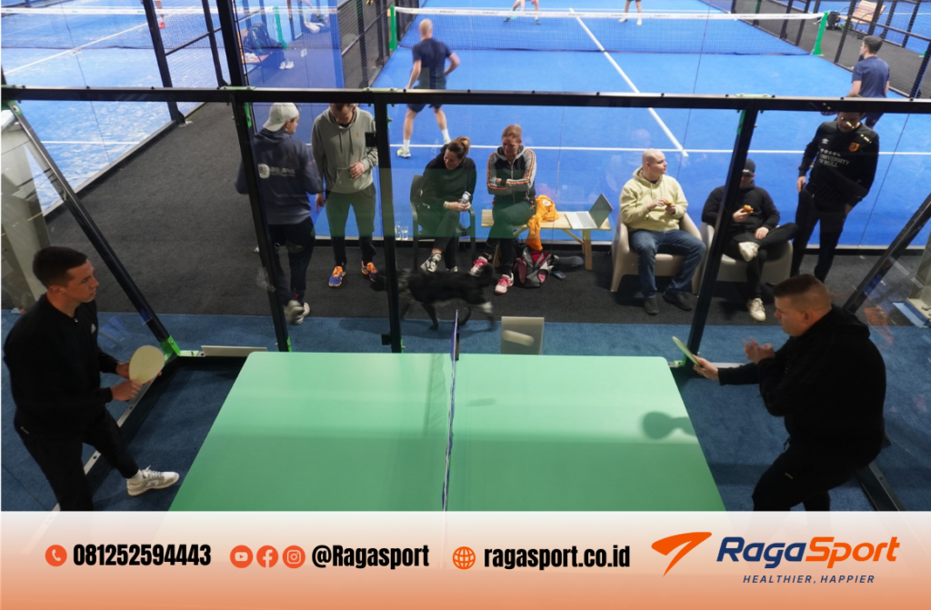 apa itu lapangan padel pingpong